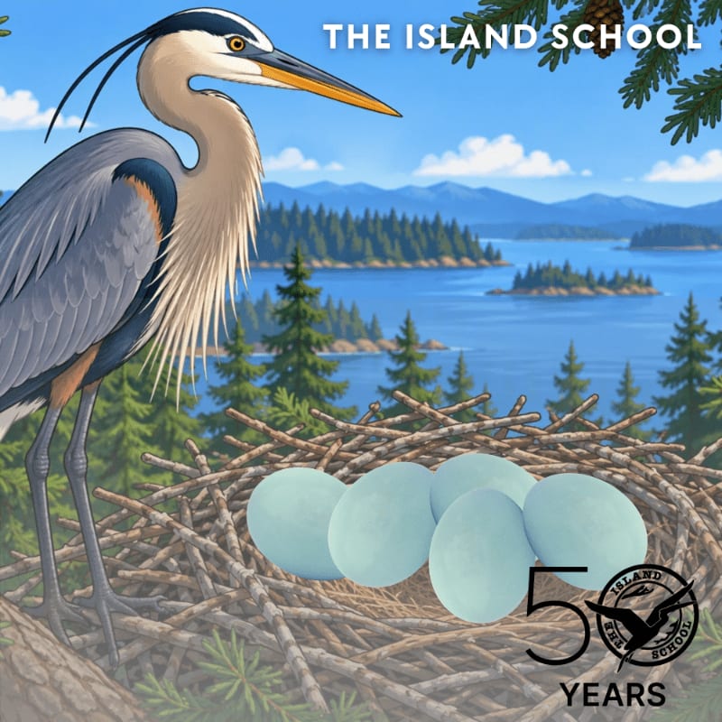 A great blue heron stands beside a nest of pale blue eggs in the foreground, set against a scenic backdrop of a blue lake, forested islands, and distant mountains.
