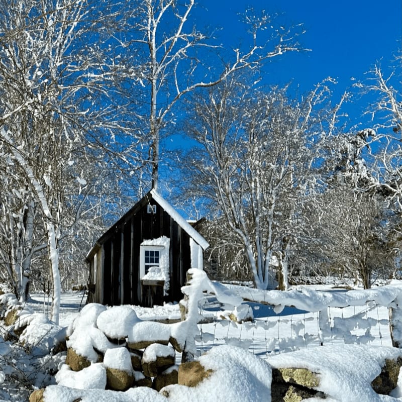A snow-covered stone wall and fence sit in the foreground before a small black cabin nestled among frost-covered trees under a clear blue sky.