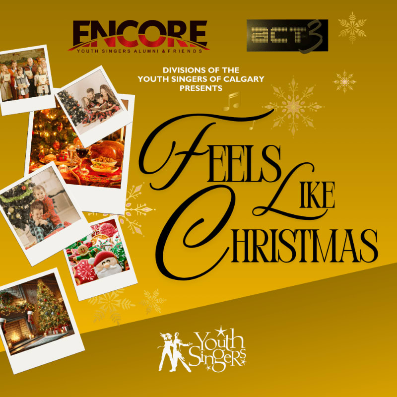 Polaroid photos of Christmas scenes are scattered on the left side of a gold background featuring the text "Feels Like Christmas" and various organization logos.