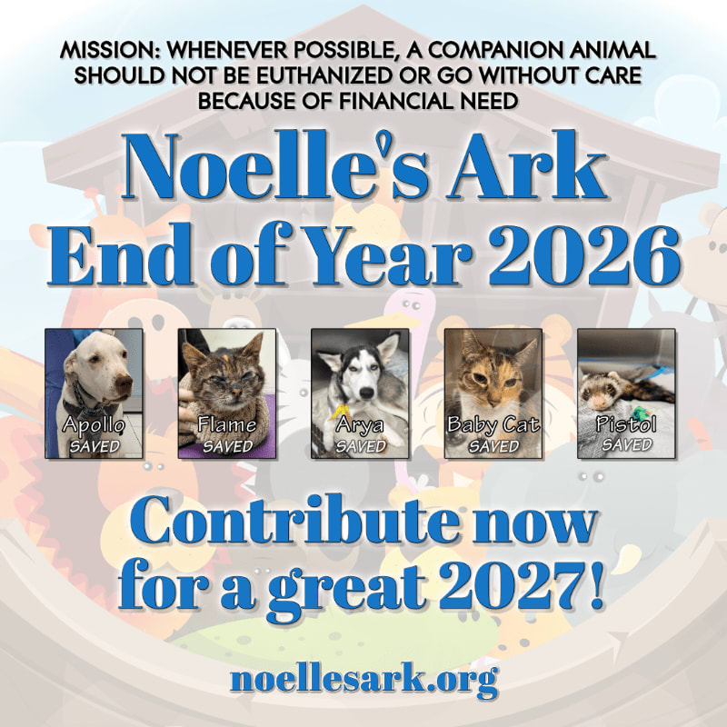 Five photos of rescued pets are displayed in the foreground against a light blue background featuring a stylized house and promotional text for Noelle's Ark.