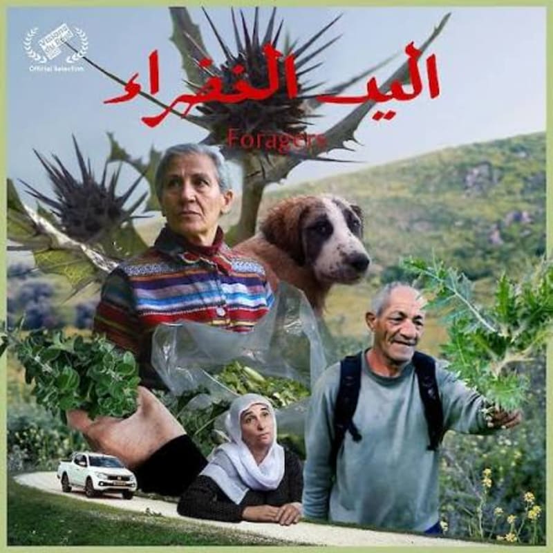 A collage of people, a dog, and greenery in the foreground set against a backdrop of rolling green hills and a large thistle plant.