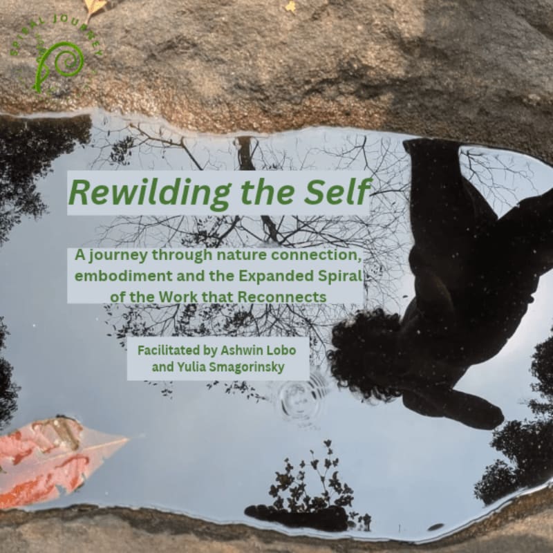 Text promoting "Rewilding the Self" is overlaid on a puddle reflecting a person and trees, surrounded by a textured stone ground.