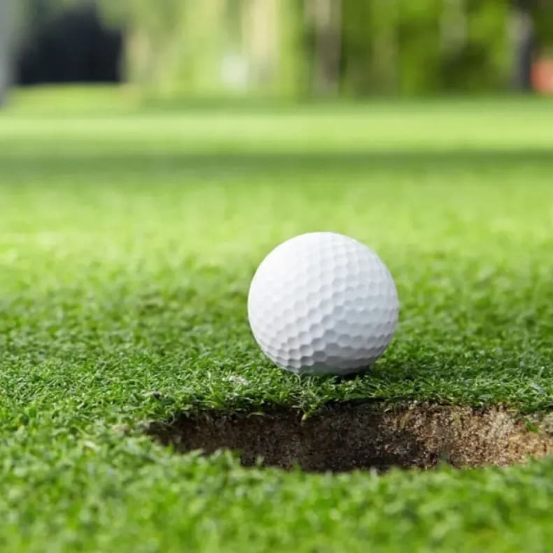 Fri 21 Aug: Gen Farman Golf Outing item