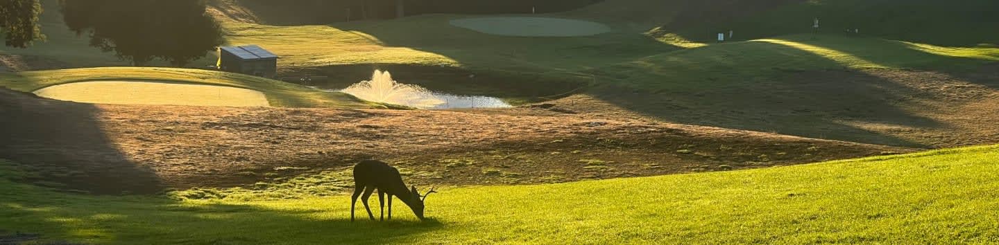 Redwood City Elks Lodge #1991