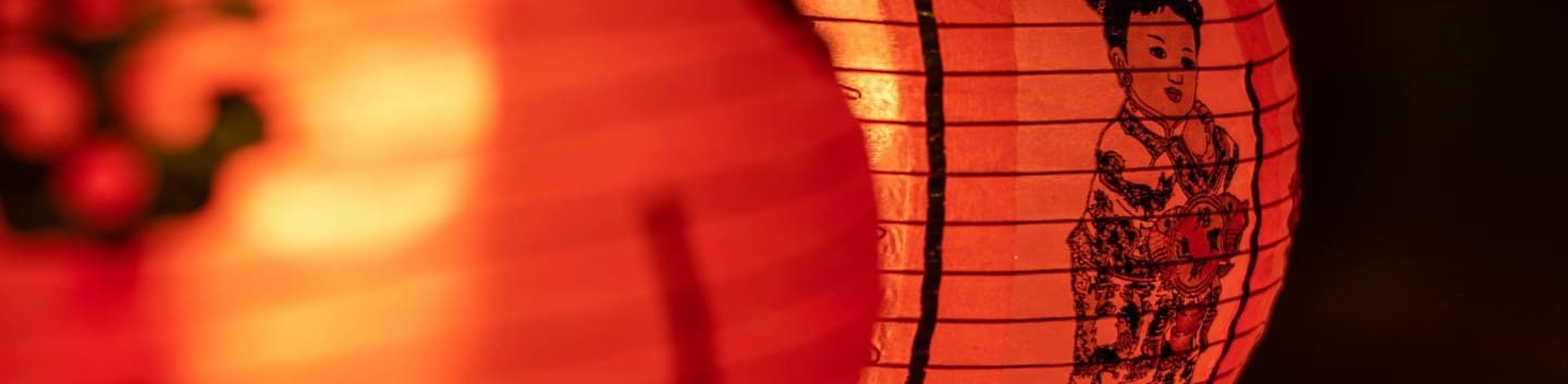 Friends of Chinatown