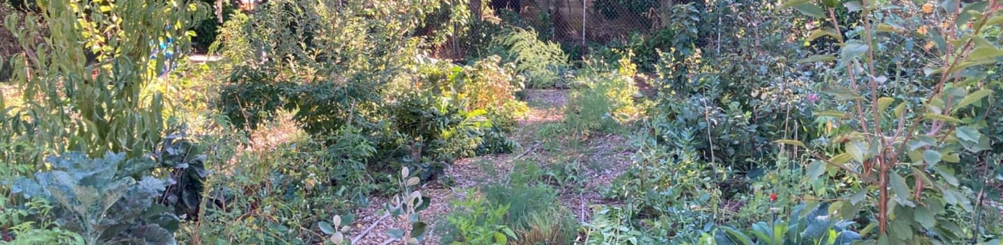 Portland Food Forest Initiative