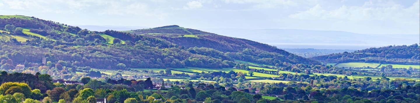 The Mendip Society