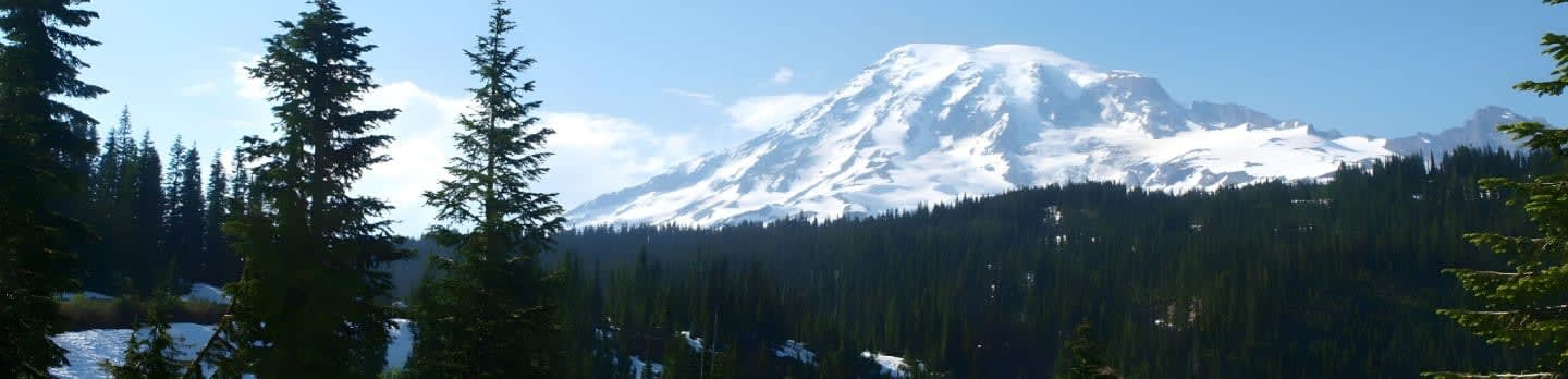 Northwest Progressive Institute