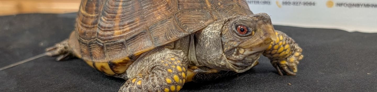 Hungerford Nature Center