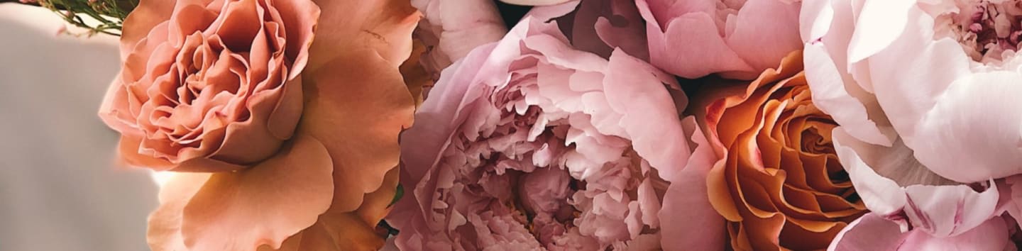 Shades Of Brown Ladies Society