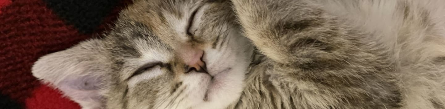 Border Paws Animal Shelter Society