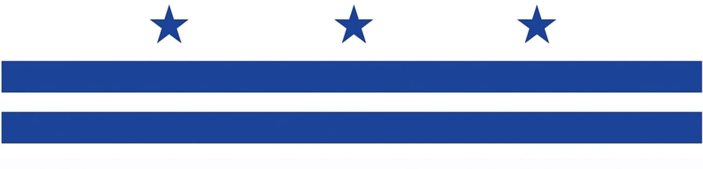 National Alumnae Association Of Spelman College - Washington DC Metro Chapter