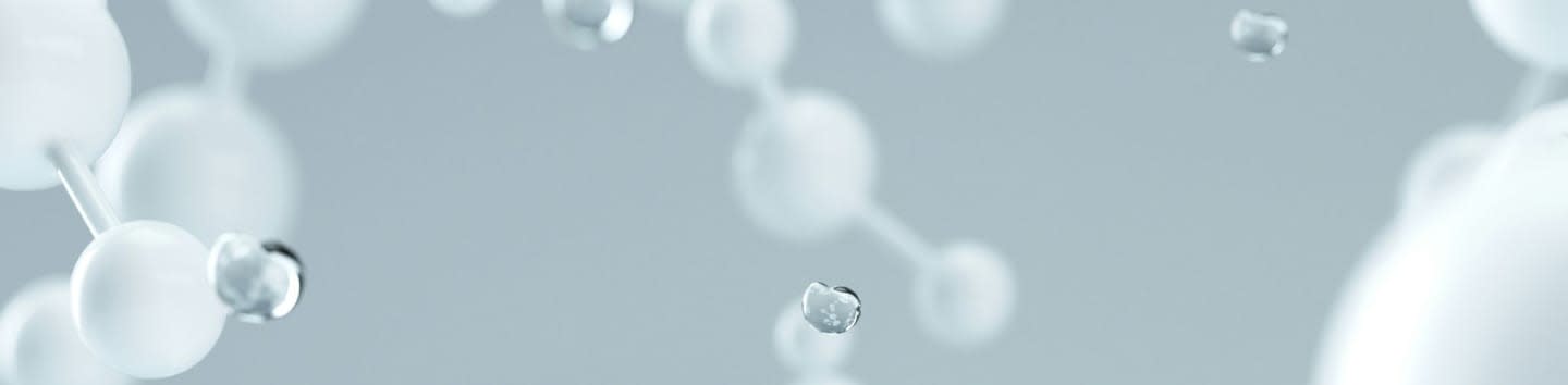 florida atlantic university