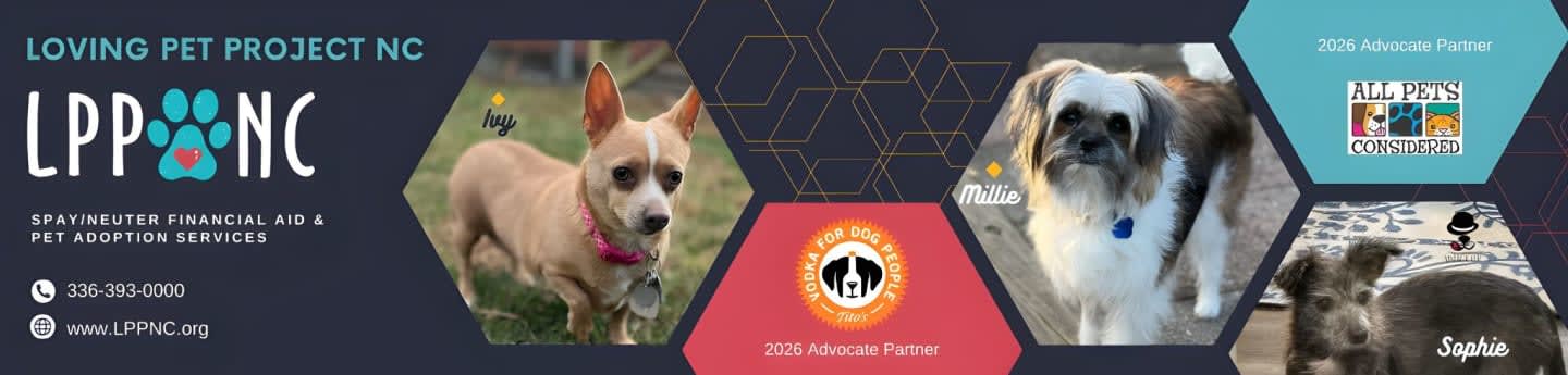 Loving Pet Project NC