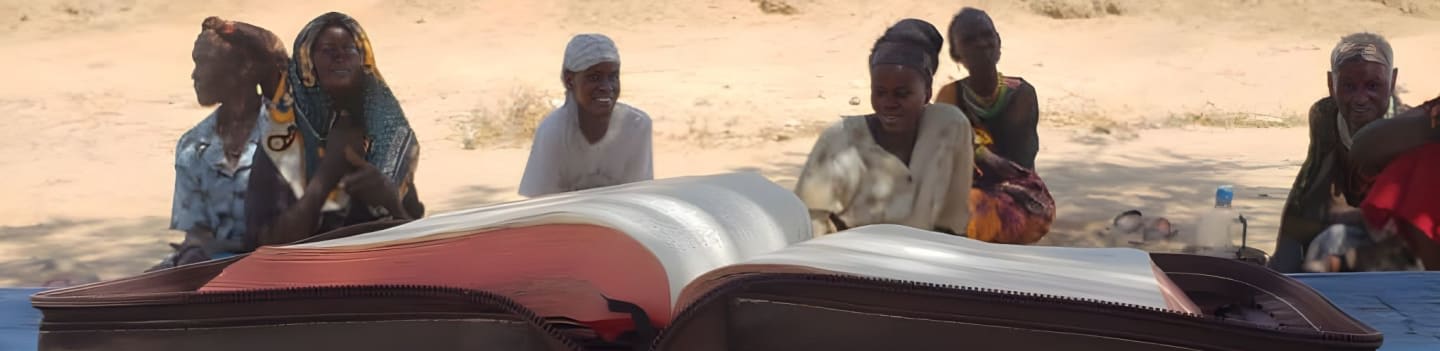 Friends of the Catholic Biblical Federation