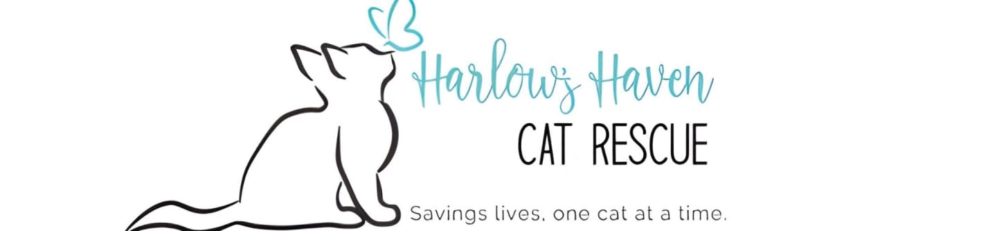 Harlow’s Haven Cat Rescue