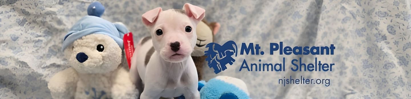 Mt Pleasant Animal Shelter Inc