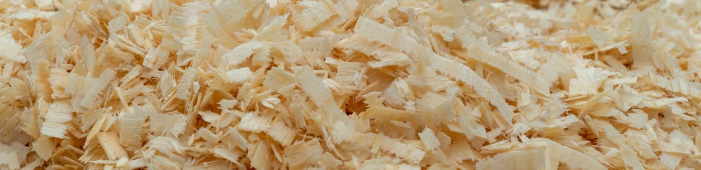 Canadian Logger Sports Association