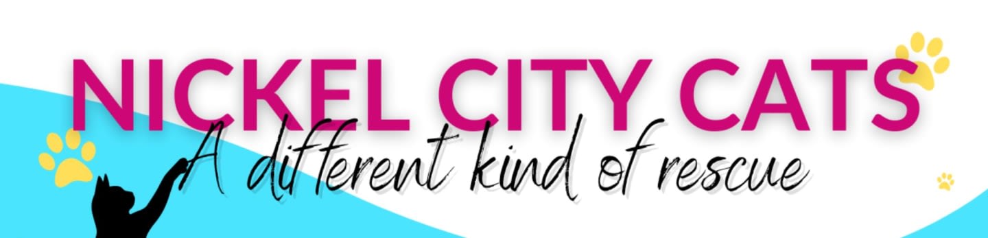 Nickel City Cats Inc.