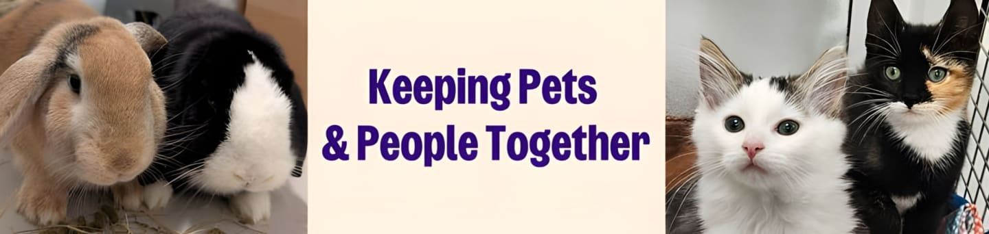 RSPCA Manchester and Salford Branch CIO