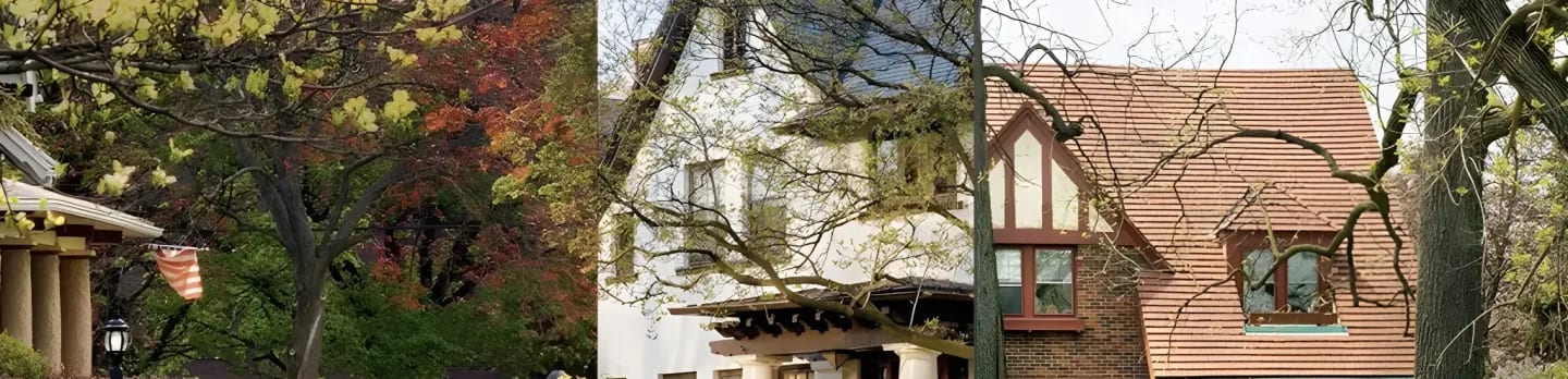 Old West End Association