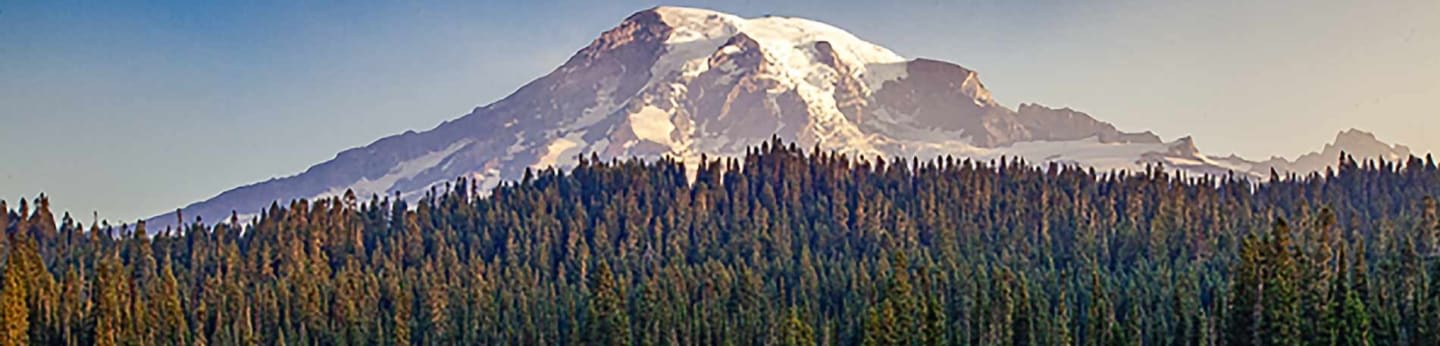 Still Mountain Buddhist Med Cntr