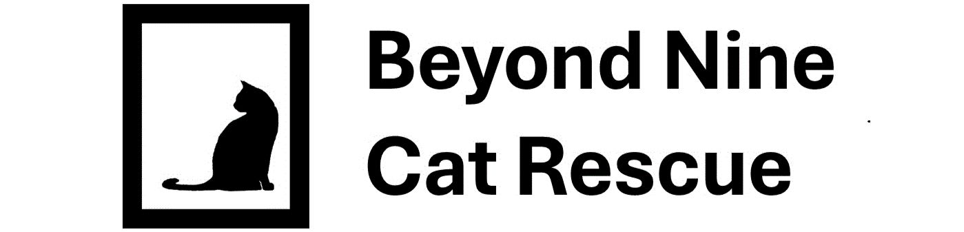 Beyond Nine Cat Rescue Inc