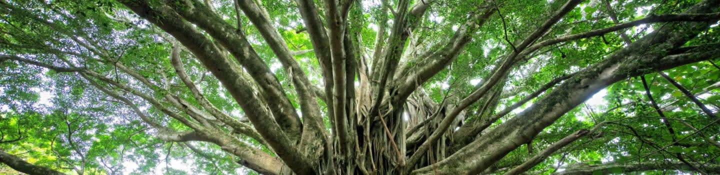 Vision Hudson Valley