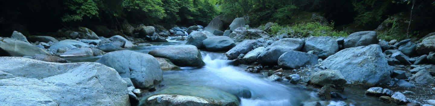 The Watershed Association of the Tuckasegee River