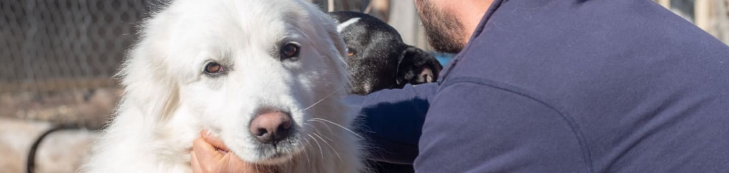 Happy Animal Sanctuary