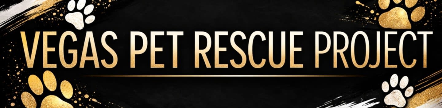 Vegas Pet Rescue Project