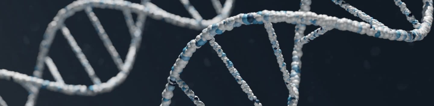 16p11.2 Genetic Foundation