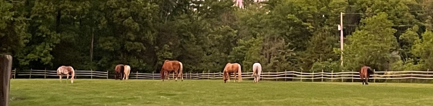 Right Foot Ranch Inc
