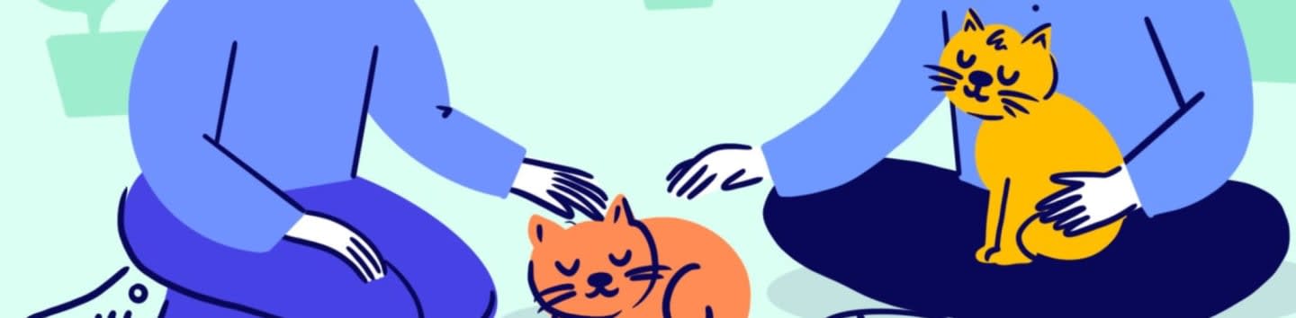 Vancouver Orphan Kitten Rescue Association