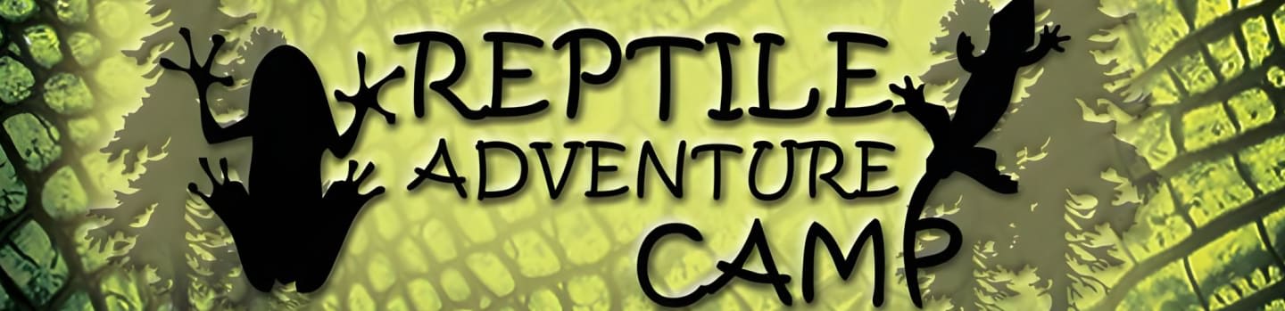 Reptile Summer Camp