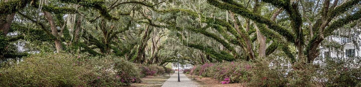 Secular Humanists of the Lowcountry (SHL)