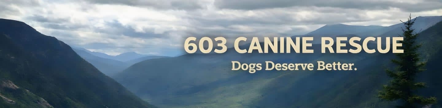 603 Canine Rescue