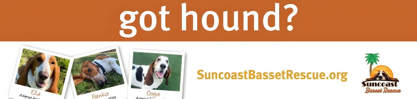Suncoast Basset Rescue Inc