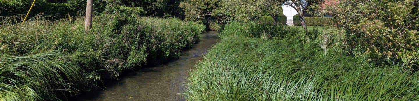 Letcombe Brook Project