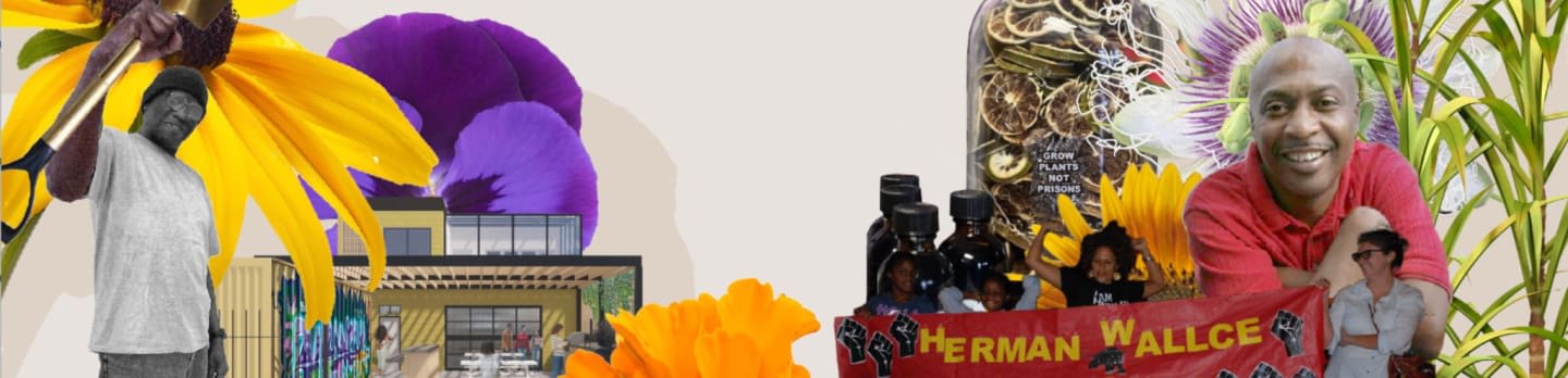 A collage features a man playing a trumpet in front of large yellow and purple flowers, a building, and a banner that reads "HERMAN WALLCE" in the foreground, with a smiling woman and plants in the background.