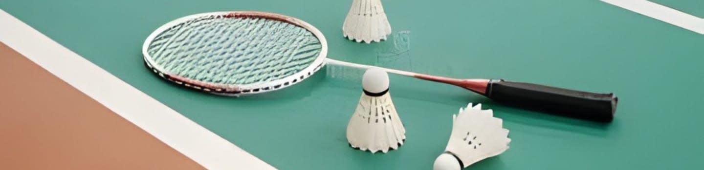 A badminton racket and three shuttlecocks rest on a green court with brown and white lines.