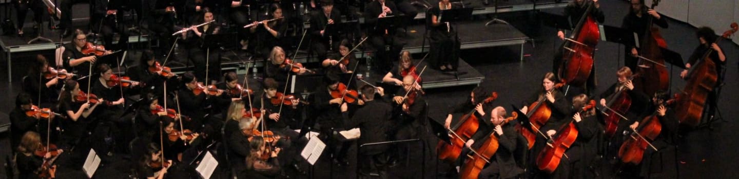 Musicians in the foreground play violins and cellos, while in the background, others play flutes and stand behind music stands.