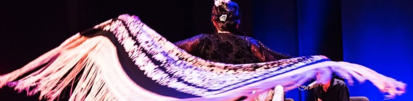 A performer in a dark, ornate costume with a large, fringed shawl in shades of pink and purple is illuminated against a dark and blue background.