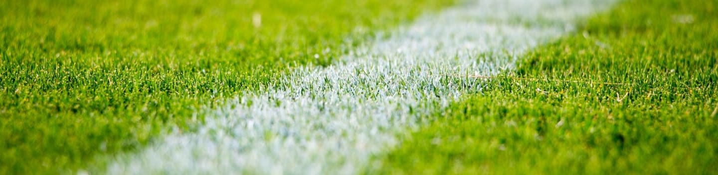 Close-up of a white line on green grass in a soccer field
