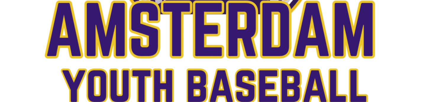 Purple and gold text reading "AMSTERDAM YOUTH BASEBALL" is displayed against a white background.