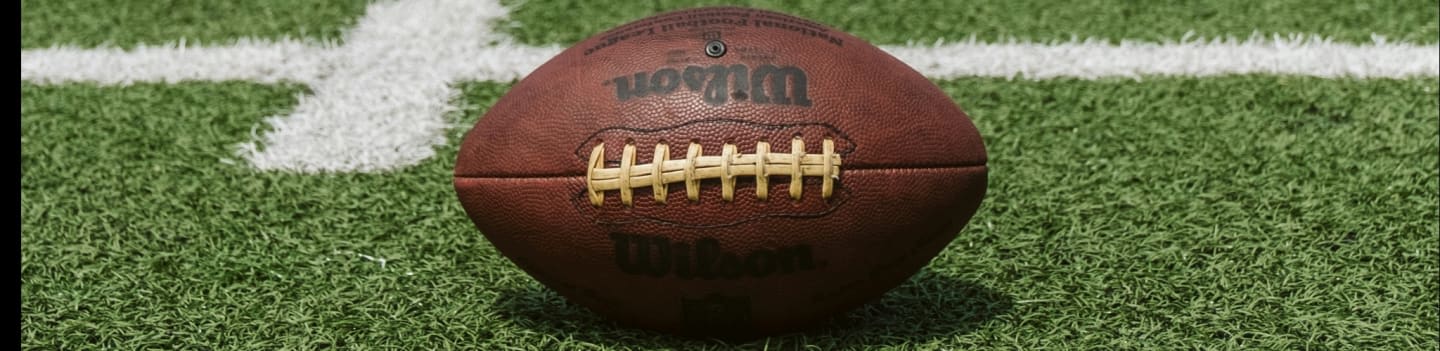 brown and black Wilson football
