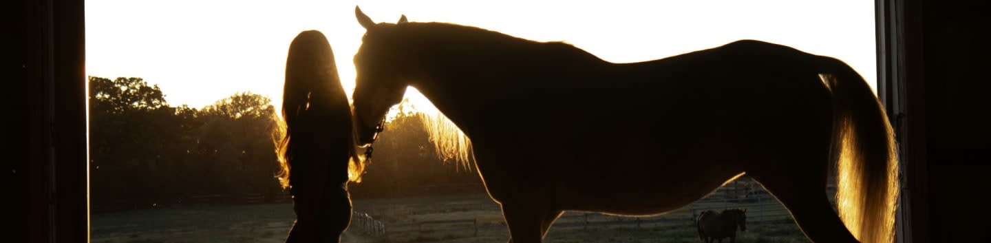 A woman standing next to a horse in a barn