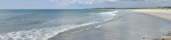 Friends of Huntington Beach State Park