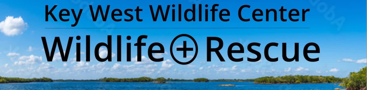 Key West Wildlife Center Inc
