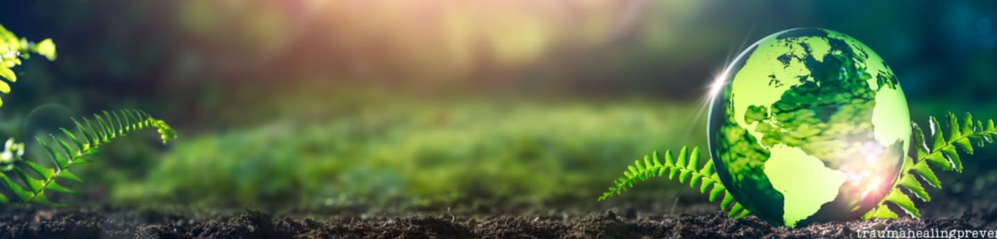 A glowing green earth rests on dark soil surrounded by ferns, with a blurred forest background bathed in soft light.